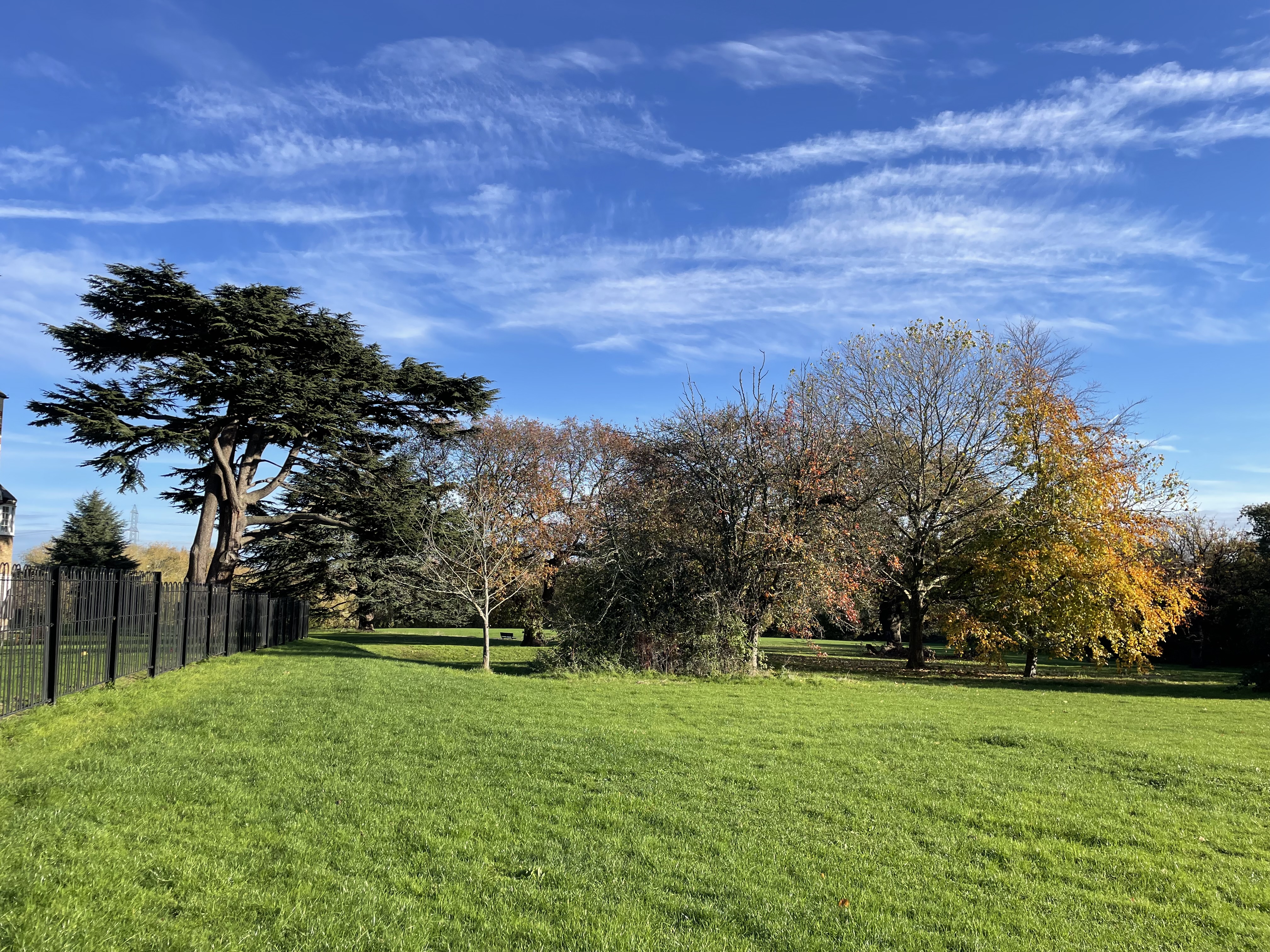 Line of different types of autumn trees on vibrant green grass against a blue sky